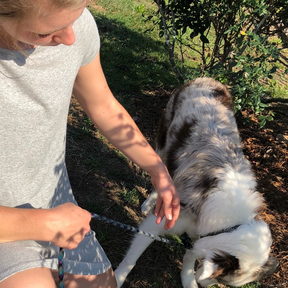 Meet your Posher, Lauren